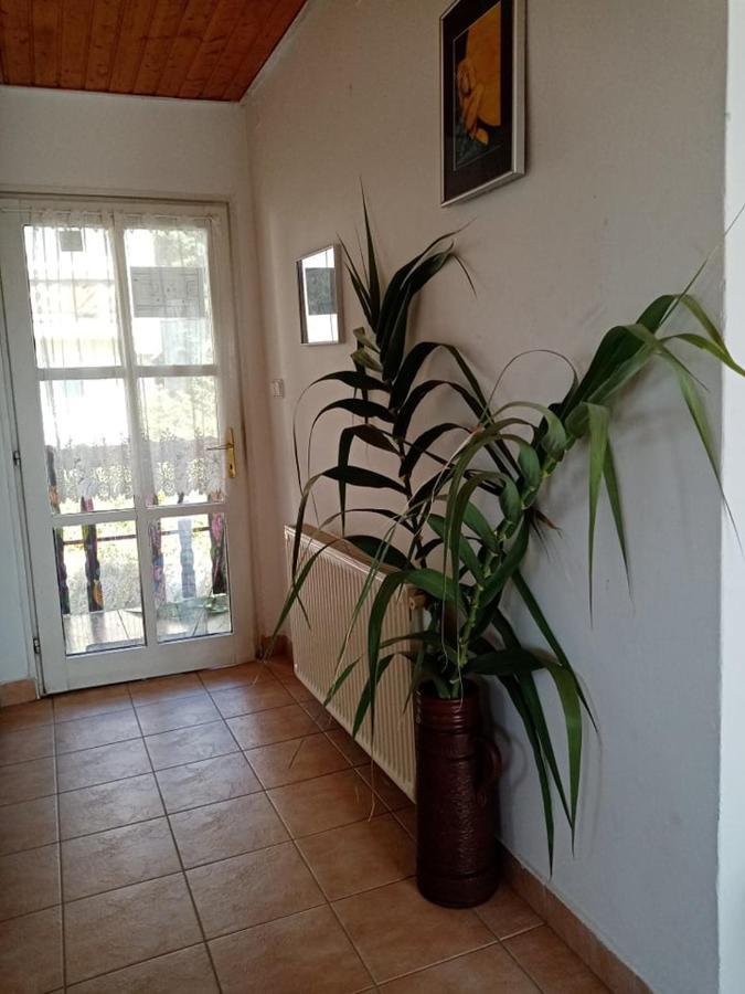 Отель Kekturas-Tora Nyilo Badacsonyi Privat Berlemeny Бадачоньтомай Экстерьер фото